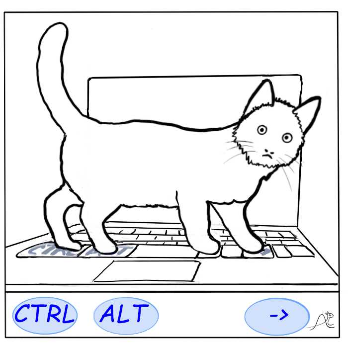 Cat walking a keyboard shortcut